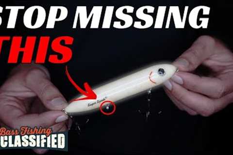SIMPLE Topwater Tips and Tricks to Catch More Bass In November
