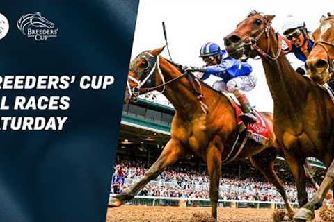 All Races: Breeders' Cup 2022 Saturday