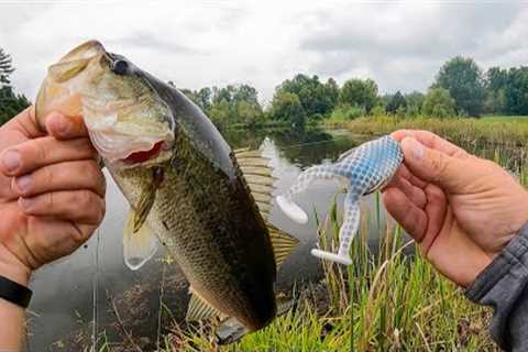 Pond Fishing Tricks! Fall Bass Fishing!