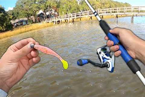 Eating Whatever I Catch.. (Catch and Cook) Saltwater River Fishing