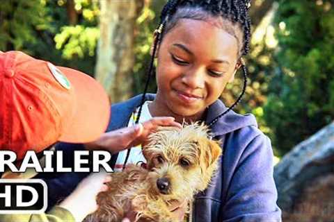 PUPPY PLACE Season 2 Trailer (2022) Adventure Series