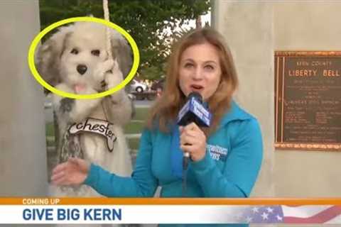 The Very Best News Bloopers May 2020