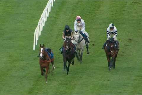 Camprond causes CHAOS when running loose at Exeter as McFabulous wins - Racing TV