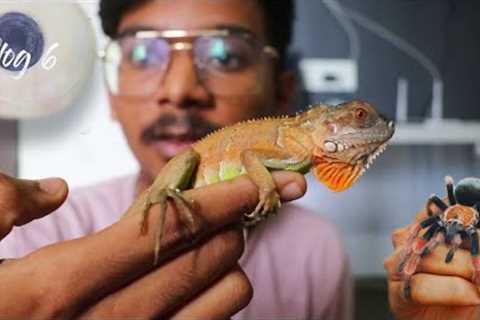Home tour and exotic pets | Vlog With Raj | Vlog 6
