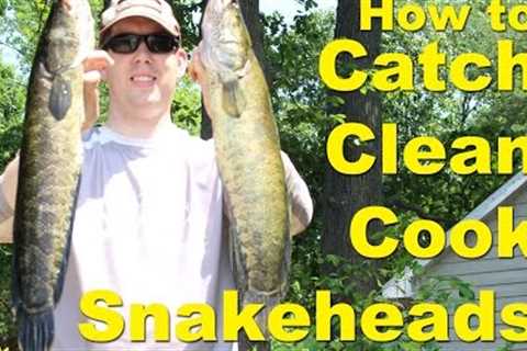 How to catch snakehead fish - How to cook snakehead -  snakehead fishing