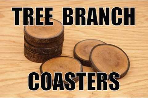 How To Make Coasters from a Tree Branch