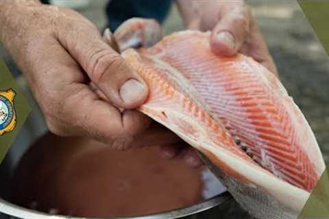 How to Clean Trout - Quick &amp; Easy