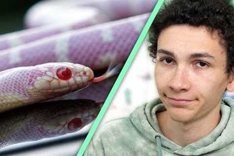 5 Sketchy Things I Did While Selling Exotic Reptiles