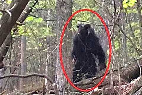 MOST DANGEROUS PREDATOR CAUGHT ON CAM!