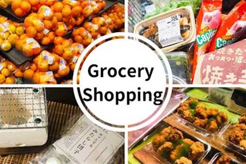 Grocery Shopping in Japan / Shichirin BBQ