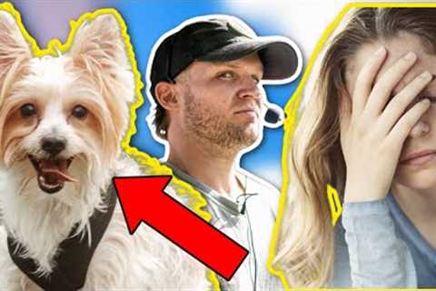 DRAMATIC DOG TRAINING TRANSFORMATION!!