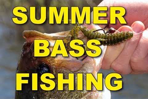 Summer Bass Fishing Techniques and Tips | Bass Fishing