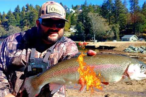 The Bite Was Wide Open | Trout Fishing | Lake Gregory California