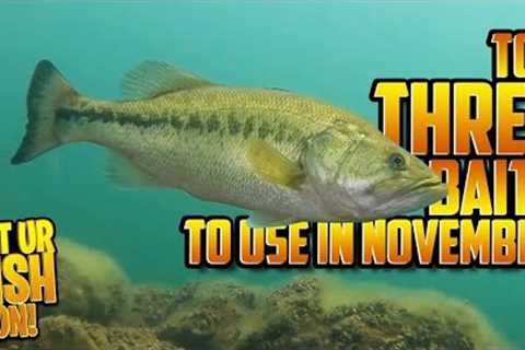 Don't Go Bass Fishing WITHOUT These 3 Lures in November