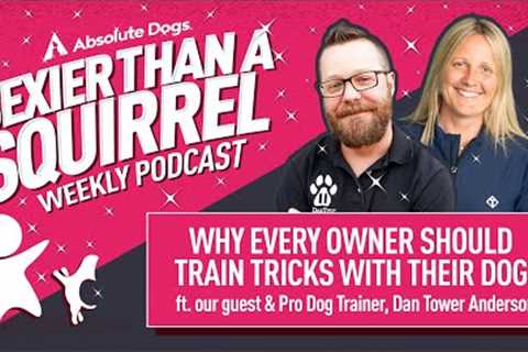 Why EVERY owner should TRAIN TRICKS with their dog!