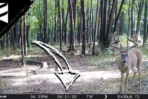 August Trail Camera Tips: Don't Miss These DATES!!!
