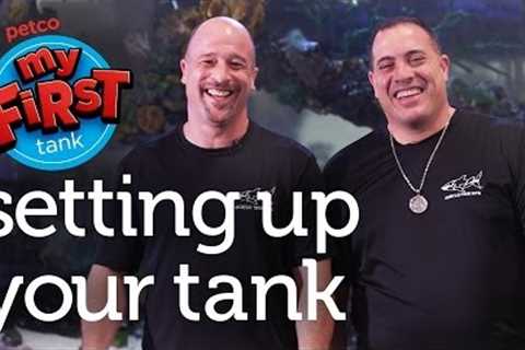 Petco and Animal Planet's Tanked Present: My First Tank - Setting Up Your Tank