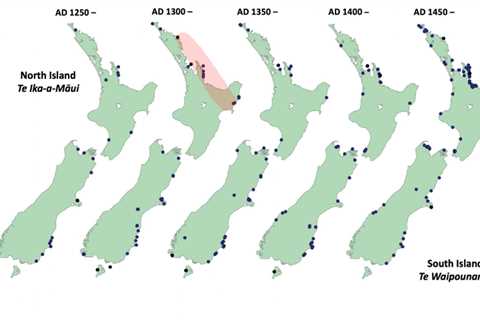 New Zealand was first settled in the 13th century, study finds