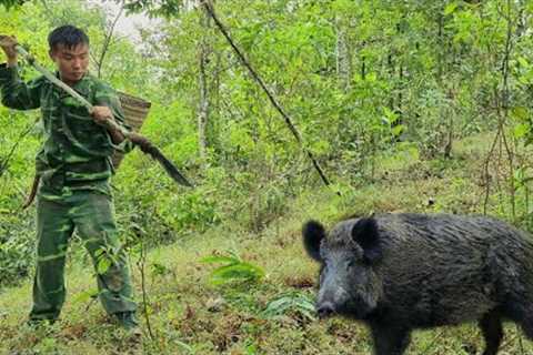 Survival skills, skills to trap wild boar, survive in the forest