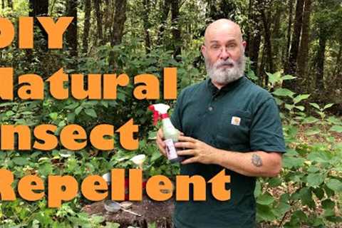 Natural Insect Repellent with Beautyberry