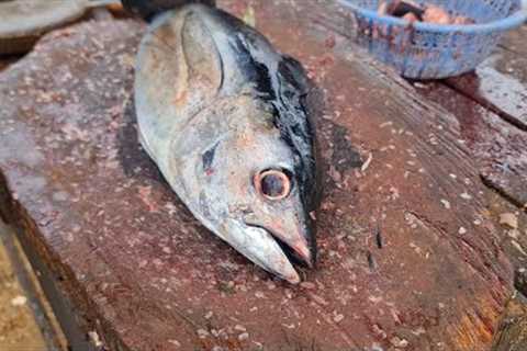 Fish Market Live Fish Cutting Skills Fishermen | Gaind Amazing Fish Cutting Video | Cutting Skills