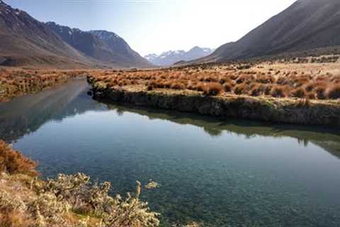 Fly Fishing Stunning Ultra Clear Water Mountain Stream!