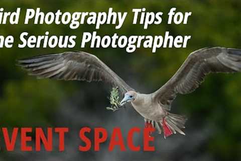 Bird Photography Tips for the Serious Photographer