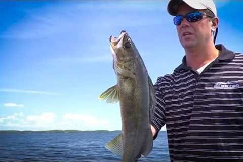 Mayfly Hatch Tactics Rainy Lake - In-Depth Outdoors - Season 6, Episode 12