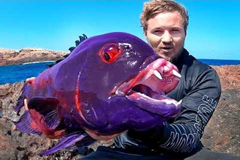 Most Unbelievable Fish Catches