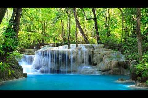 Instant Relief from Stress and Anxiety, Detox Negative Emotions, Calm Nature Healing Sleep Music