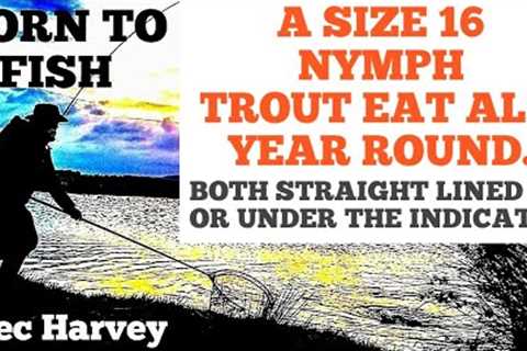 FLY TYING -  THE ALL YEAR ROUND NYMPH