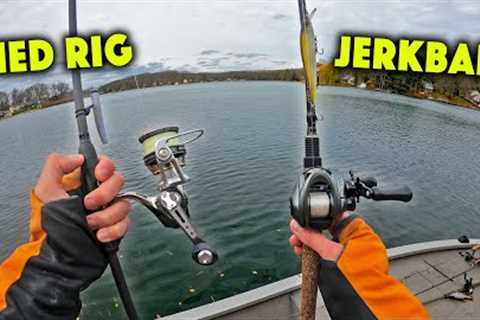 Bass Fishing The Winter Transition