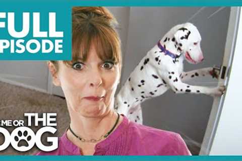 Deaf Dalmatian Opens Every Door and Tries To Escape | Full Episode | It's Me or the Dog