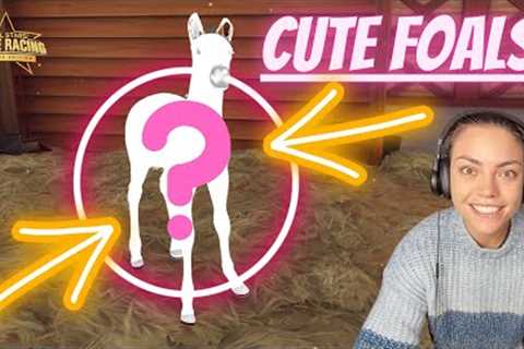 *NOVEMBER FOALS* // Rival Stars Horse Racing