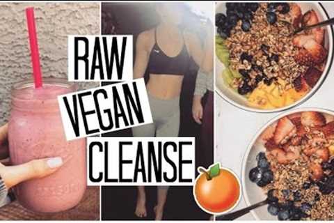 How to Cleanse &amp; Detox your Body with a RAW VEGAN Diet | What I Eat in a Day #3