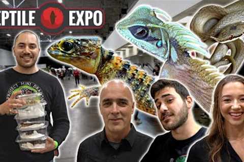 I bought 4 LIZARDS and 2 SNAKES at the Toronto Reptile Expo! DREAM ADDITIONS!