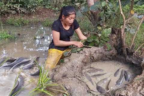Pit fishing technical and fish grilled for dinner - Survival skills in jungle