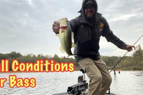 Fish the Conditions for FALL Bass Fishing | Seasonal Patterns | #fallbassfishing #spinnerbait