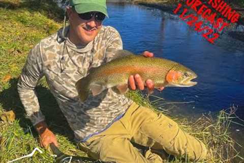 Mossy Creek Fly Fishing Forecast 11/14/2022