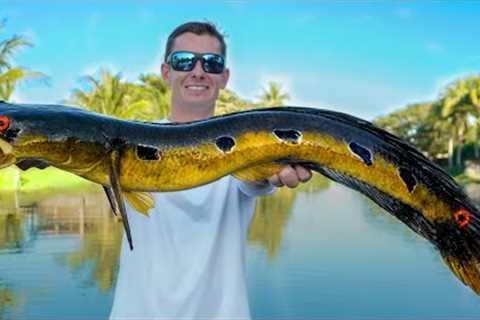 INVASIVE Fish are Taking Over...I'm Happy About it (Catch Clean Cook -Bullseye Snakehead)