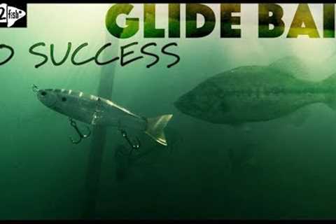 The Basics of Glide Bait Fishing Bass