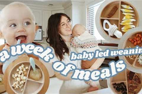 What My 8 Month Old Eats In A Week // BABY LED WEANING tips, tricks, &amp; recipes!!!