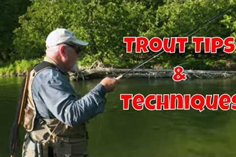 Small Stream Trout Tips &amp; Techniques | Drift Outfitters