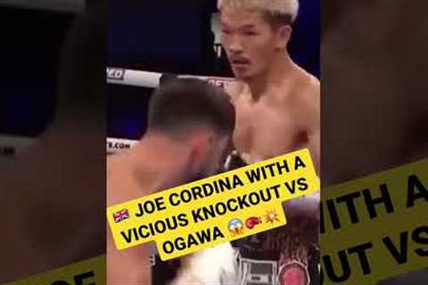 🇬🇧 JOE CORDINA VICIOUS KNOCKOUT VS OGAWA 😱🥊💥 #sports #boxing #viral #trending #shorts #reels