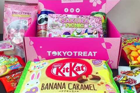 Tokyo Treat Japanese Snack Monthly Subscription Box Sakura Picnic Unboxing &amp; Tasting