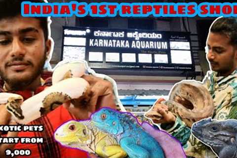India's 1'st reptiles shop || iguana,ball python,and monitor lizard | karnataka aquarium || kannada