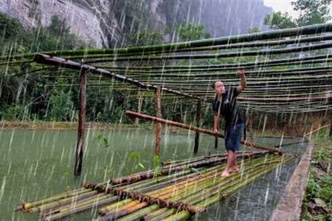Make a pumpkin rig on the pond on a rainy heavy day, Revealing Duong private life. Primitive Skills