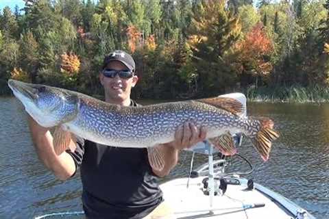 Rainy Lake Canada Northern Pike Fishing