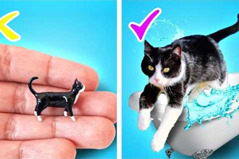How To Build A Secret Room For Pets || Room Decor DIY Ideas by Kaboom GO!