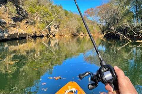 Bass Love This Lure in the Fall